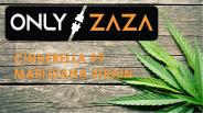 Cinderella 99 Weed Online | OnlyZaza