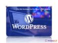 Why Web Developers Use Word Press To Build Websites PowerPoint PPT Presentation