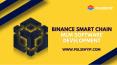 Binance Smart Chain Development for MLM Business PowerPoint PPT Presentation