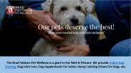 Brad Pattison Pet Wellness
