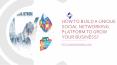 How to build a unique social networking platform to grow your business PowerPoint PPT Presentation