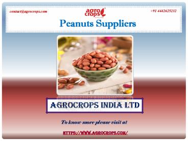 One of The Top Peanuts Suppliers in India (1)