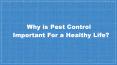 Why is Pest Control Important For a Healthy Life? PowerPoint PPT Presentation