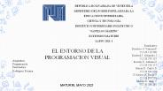 El entorno de la programación visual