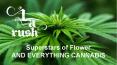 Cannabis Delivery North Hills PowerPoint PPT Presentation
