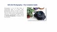 Still Life Photography : The Complete Guide PowerPoint PPT Presentation