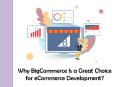 Why BigCommerce Is a Great Choice for eCommerce Development? PowerPoint PPT Presentation