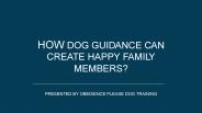 HOW DOG GUIDANCE CAN CREATE HAPPY FAMILY MEMBERS