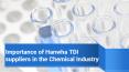 Importance of Hanwha TDI suppliers in the Chemical Industry PowerPoint PPT Presentation