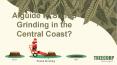 A guide to Stump Grinding in the Central Coast? PowerPoint PPT Presentation