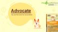 Buy Advocate For Cats and Kittens Online - DiscountPetCare