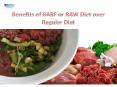 Benefits of Barf or Raw Diet over Regular Pet Foods| VetSupply | Australia Best online Pet store PowerPoint PPT Presentation