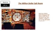 Salt Bricks and Plates
