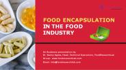 Food Encapsulation in the food Industry | Foodresearchlab