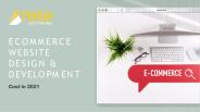 Ecommerce Website Design & Development Cost in 2021.