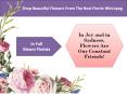 Shop Beautiful Flowers from the Best Florist Winnipeg PowerPoint PPT Presentation