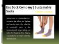 Eco Sock Company | Sustainable Socks | Teddy Locks (1) PowerPoint PPT Presentation