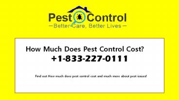How much does pest control cost