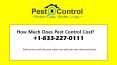 How much does pest control cost PowerPoint PPT Presentation