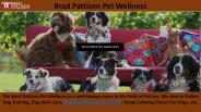 Brad Pattison Pet Wellness (1)