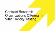 In Vitro Toxicity Testing