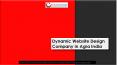 Dynamic Website Design Company in Agra India