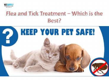 Flea and Tick Treatment - Which is the best for pet?|VetSupply | Australia Best online Pet store