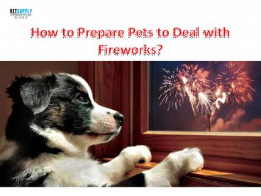 How to prepare pets to deal with Fireworks| VetSupply | Australia Best online Pet store