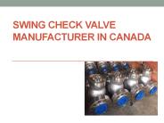 Swing Check valve manufacturer in Canada