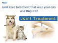 Joint Care Treatment that keep your cats and dogs fit| VetSupply | Australia Best online Pet store PowerPoint PPT Presentation
