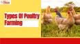 Types Of  Poultry Farming in India | Egiyok News PowerPoint PPT Presentation