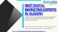 Best Digital Marketing Experts in Aligarh PowerPoint PPT Presentation