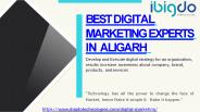 Best Digital Marketing Experts in Aligarh