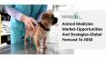 Animal Medicine Market 2021: Global Growth, Trends And Forecast PowerPoint PPT Presentation