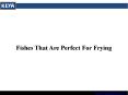 Fishes That Are Perfect For Frying PowerPoint PPT Presentation