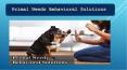 Primal Needs Behavioral Solutions - Dog Training in Mt Shasta PowerPoint PPT Presentation