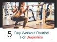 5 Day Workout Routine For Beginners PowerPoint PPT Presentation