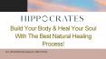 Effective Natural Healing Process In Florida | Hippocrates Health Institute PowerPoint PPT Presentation