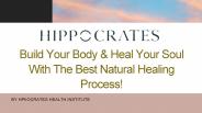 Effective Natural Healing Process In Florida | Hippocrates Health Institute