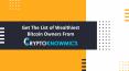 Get The List of Wealthiest Bitcoin Owners From Cryptoknowmics PowerPoint PPT Presentation