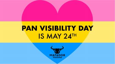 May 24th Is Pan Visibility Day