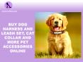 dog accessories shop| pet accessories online PowerPoint PPT Presentation