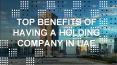 TOP BENEFITS OF HAVING A HOLDING COMPANY IN UAE PowerPoint PPT Presentation