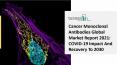 Cancer Monoclonal Antibodies Market Competitive Strategies And Global Review (2021-25) PowerPoint PPT Presentation