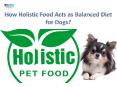 How Holistic Food Acts as a Balanced Diet for Dogs| VetSupply | Australia Best online Pet store PowerPoint PPT Presentation