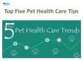 Top Five Pet Health Care Trends| VetSupply | Australia Best online Pet store PowerPoint PPT Presentation