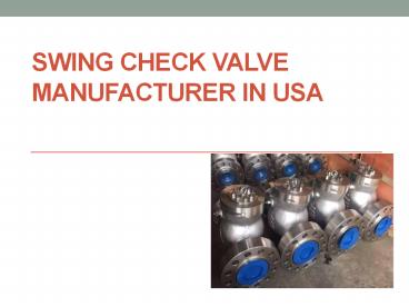Swing Check valve manufacturer in USA