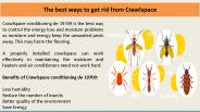 The best ways to get rid from Crawlspace