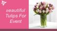 Beautiful Tulips To Gift For Event PowerPoint PPT Presentation