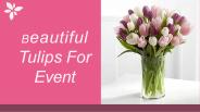 Beautiful Tulips To Gift For Event